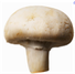 shroom.png